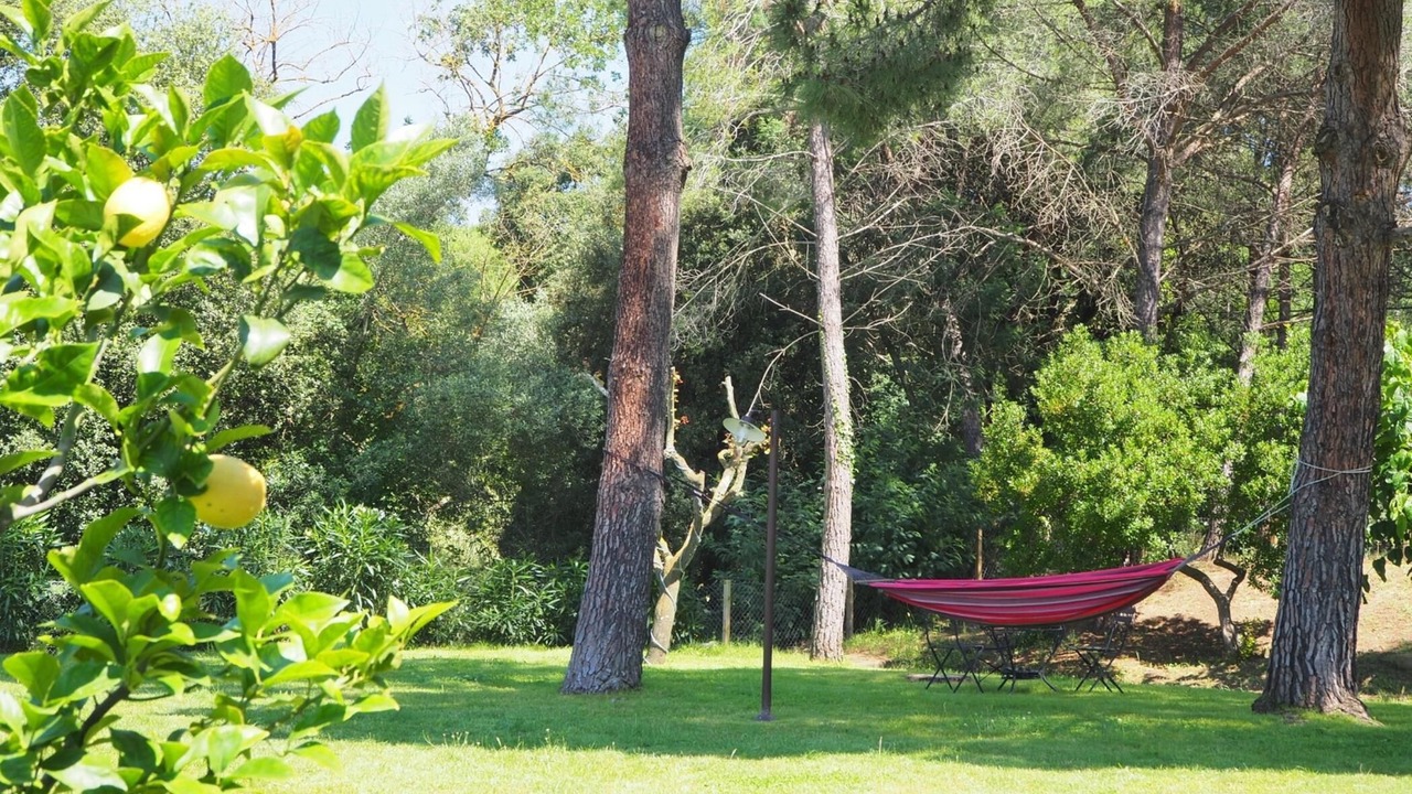 Photo of Outdoor in Santa Cristina de Aro