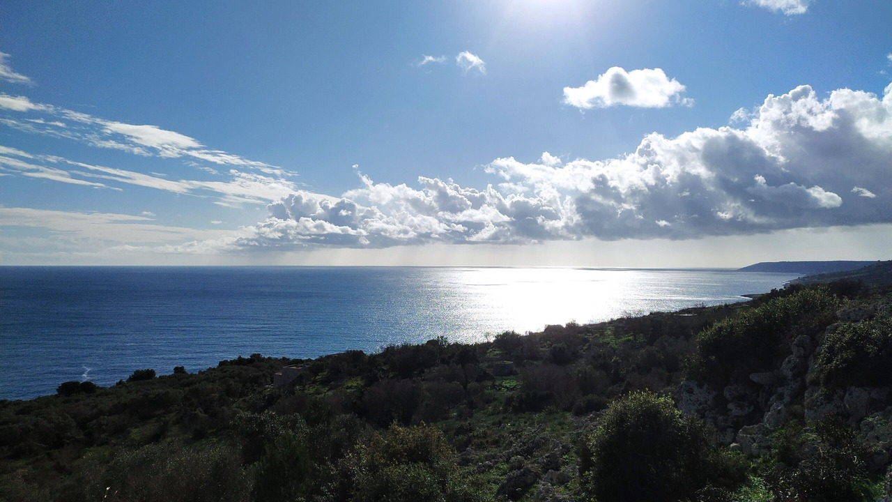 Photo of Others in Marittima