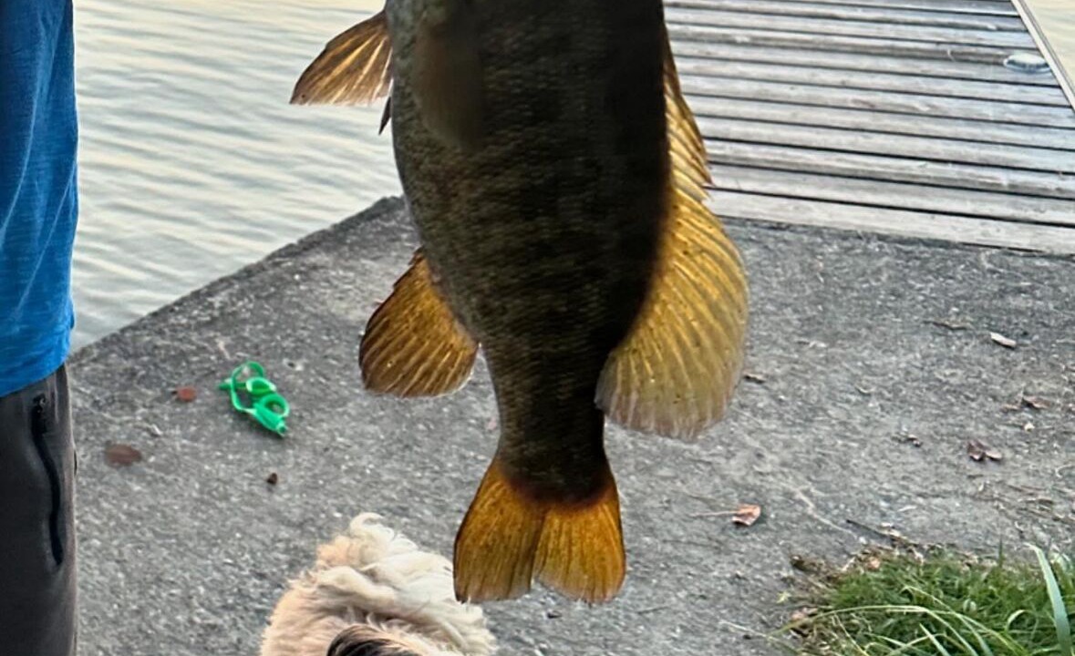 Photo of Others in Fenelon Falls