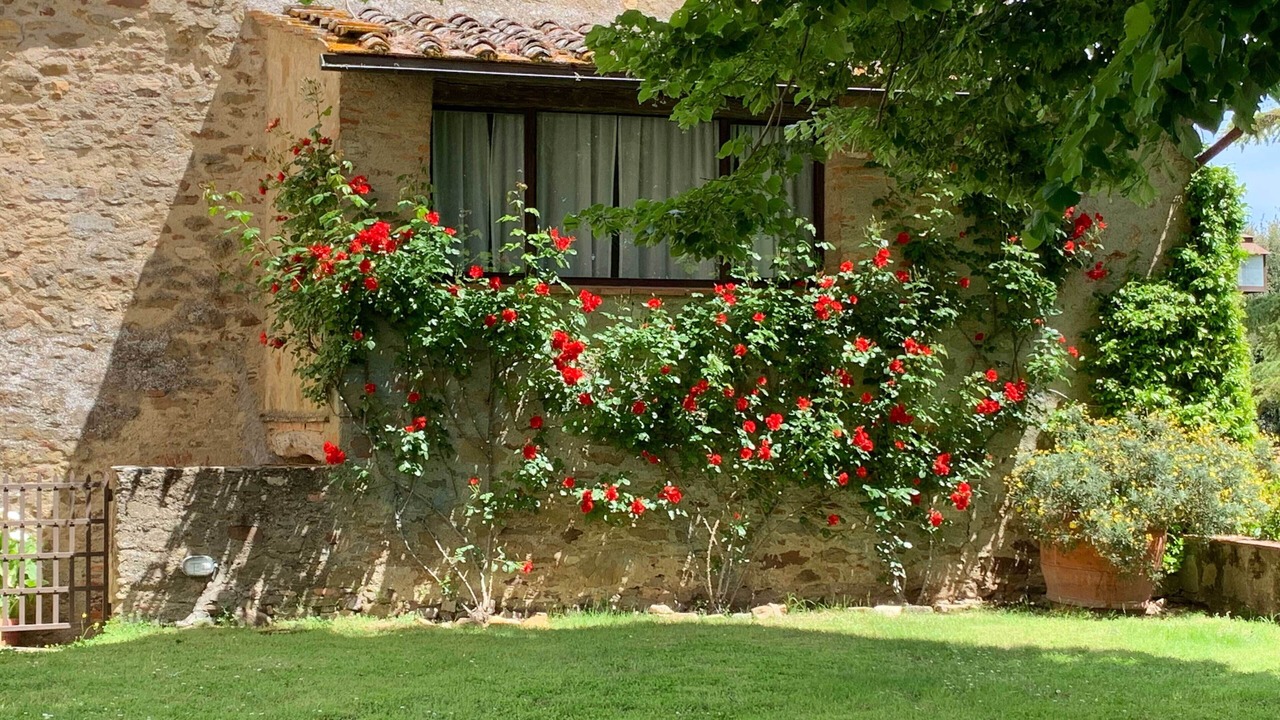 Photo of Outdoor in Pergine Valdarno