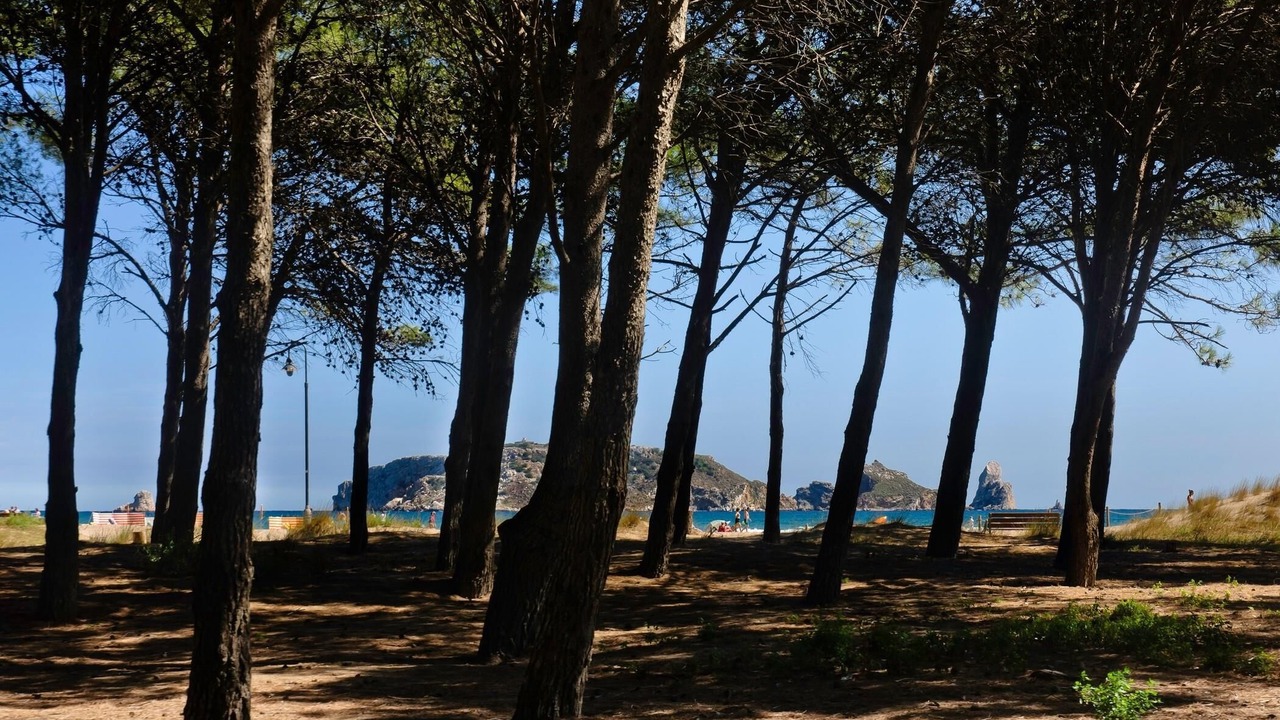 Photo of Outdoor in L'Estartit