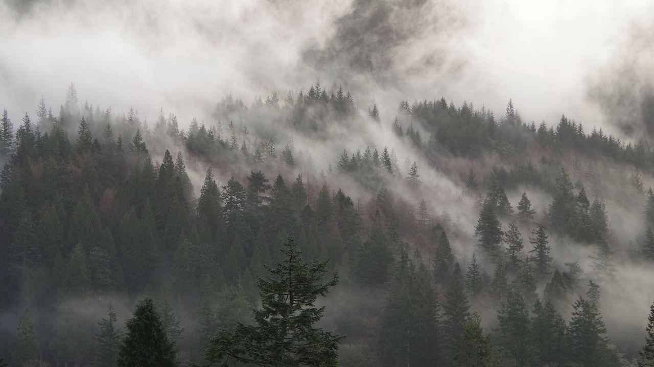 Photo of Others in Benmore