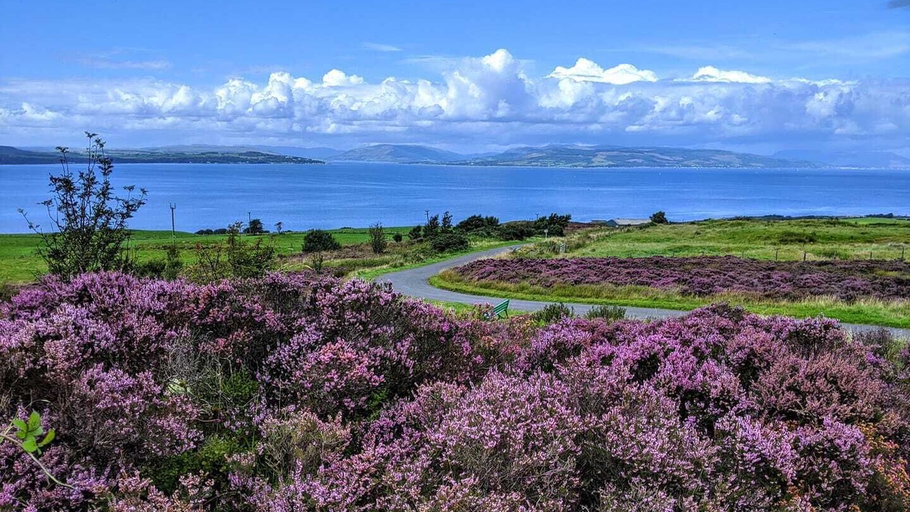 Photo of Bedroom in Isle Of Cumbrae