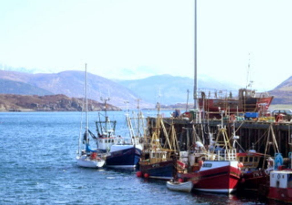 Photo of Others in Ullapool