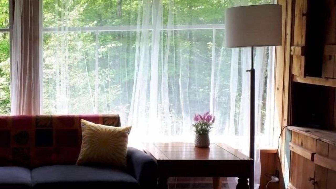 Photo of Livingroom in Irondale