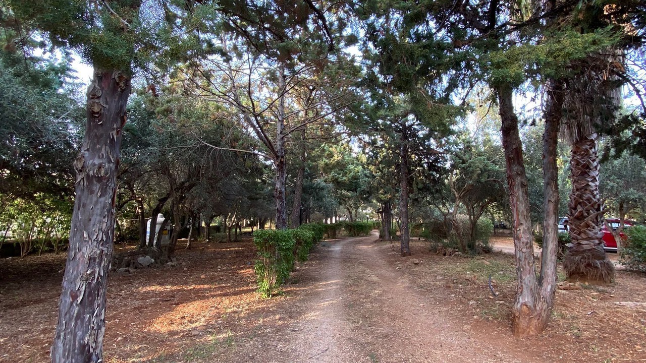 Photo of Outdoor in Carini