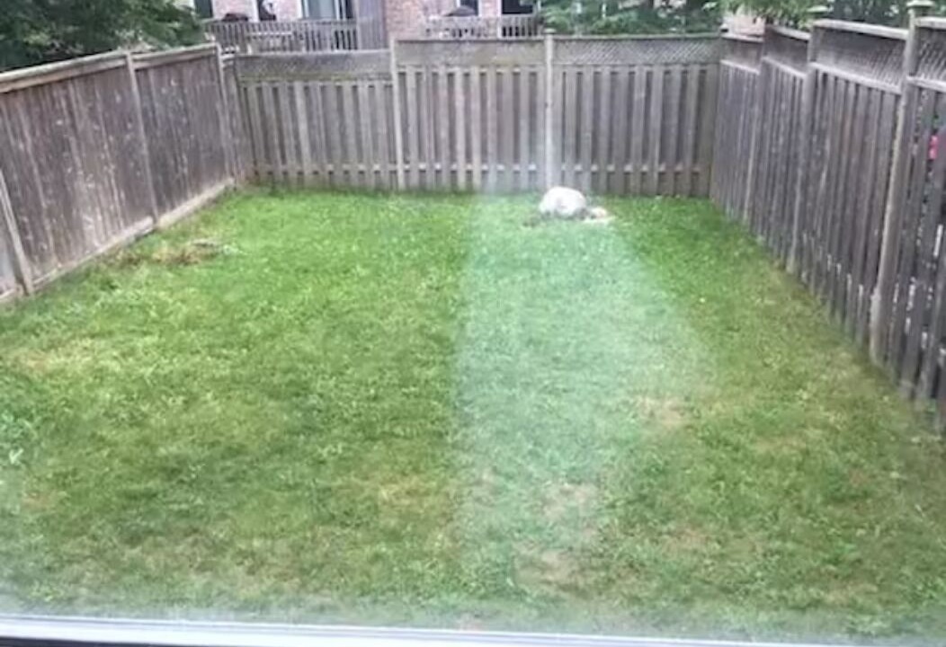 Photo of Outdoor in Waterloo