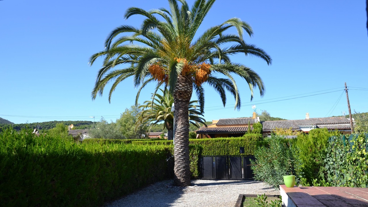 Photo of Outdoor in L'Estartit