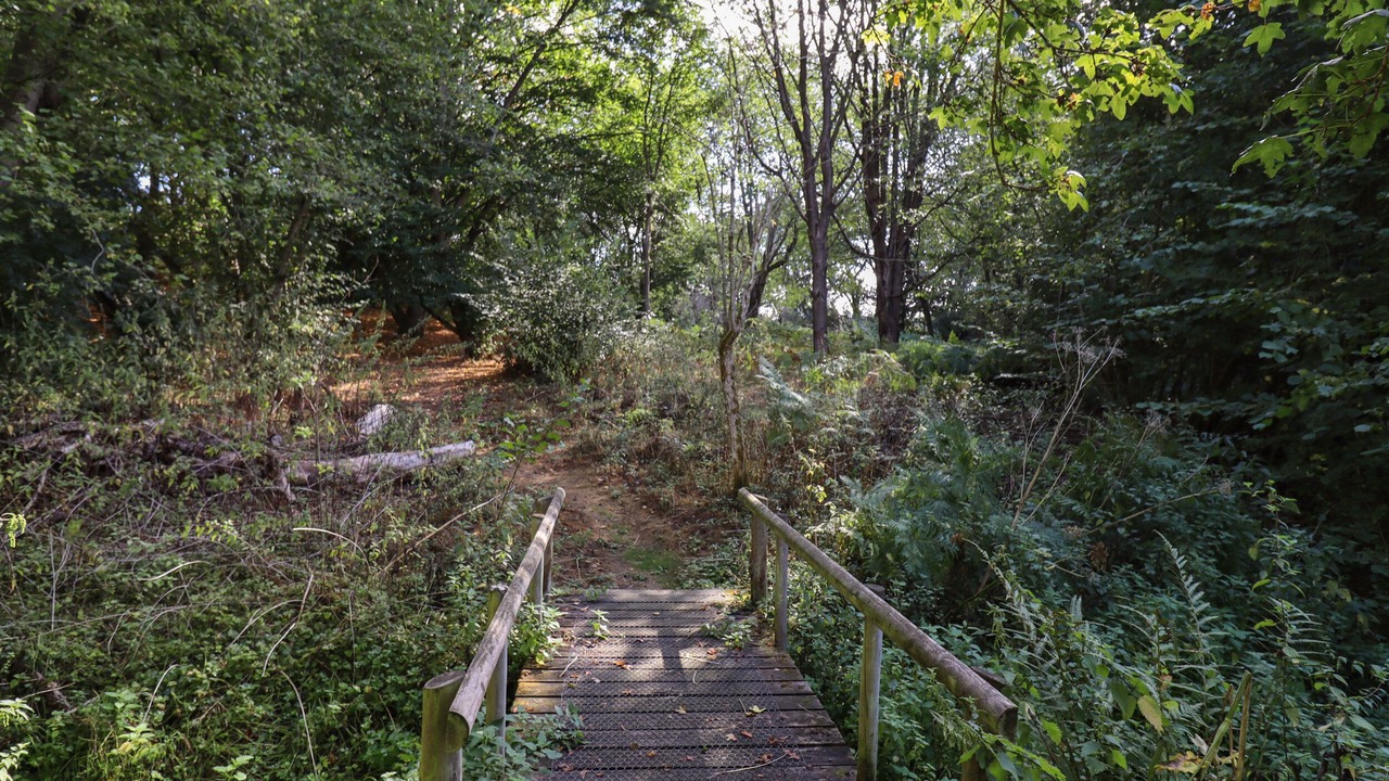 Photo of Outdoor in Bures
