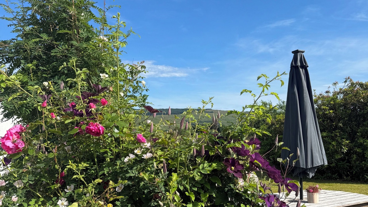 Photo of Outdoor in Taynuilt