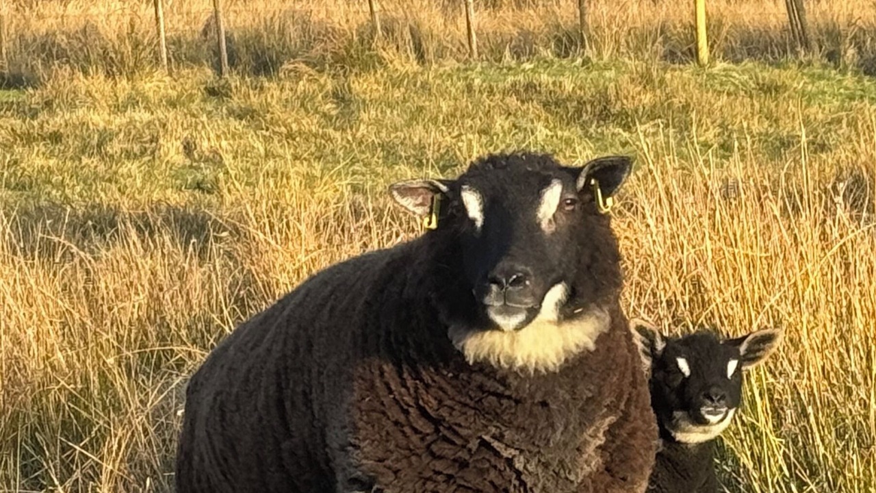 Photo of Others in Taynuilt