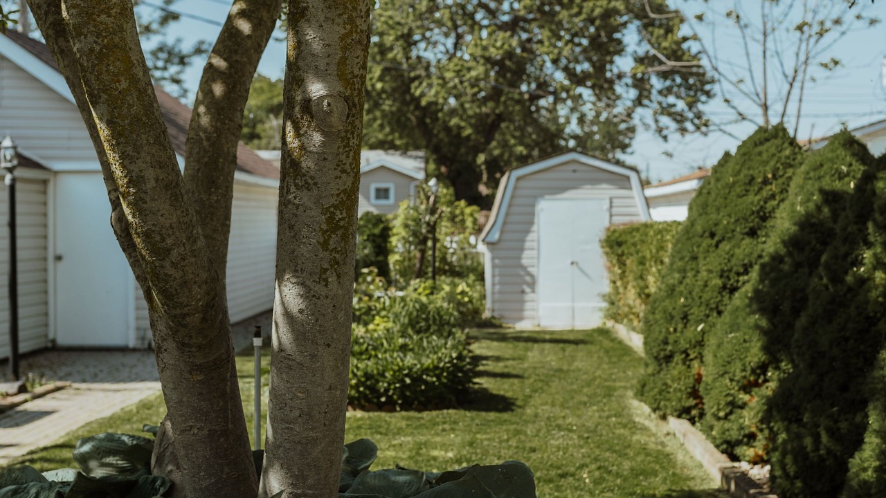 Photo of Outdoor in Kingsville