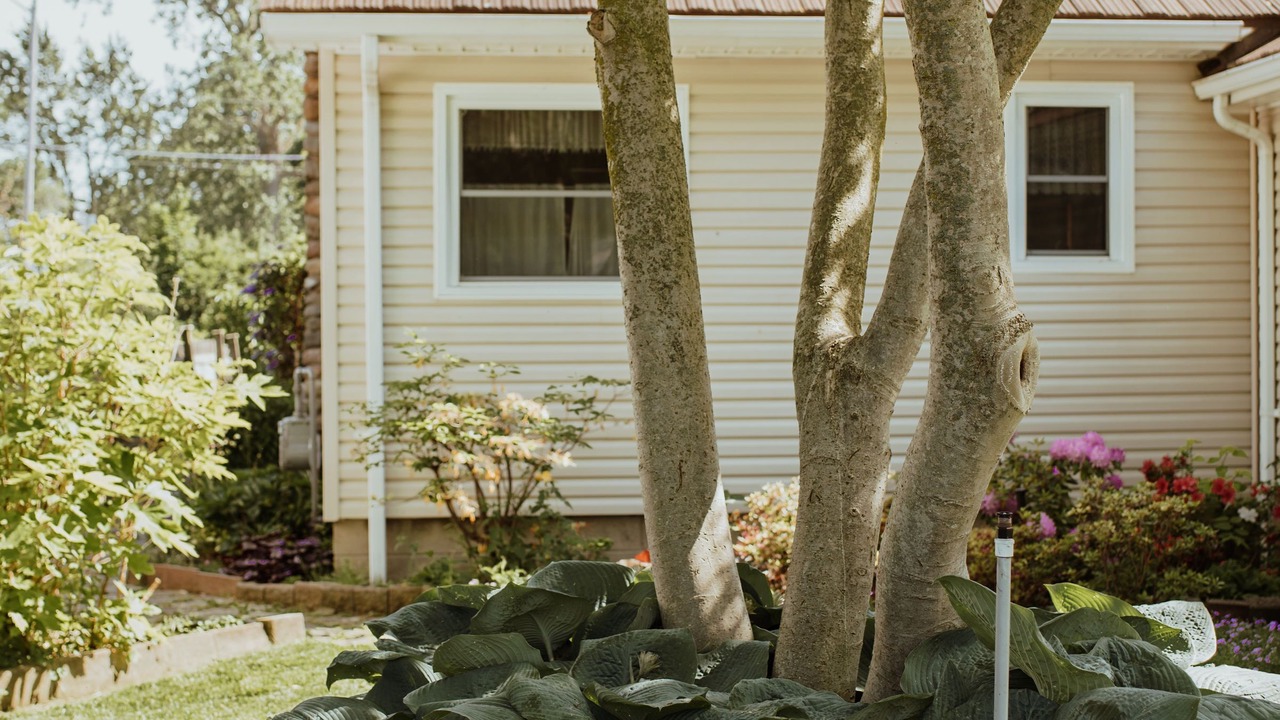 Photo of Outdoor in Kingsville