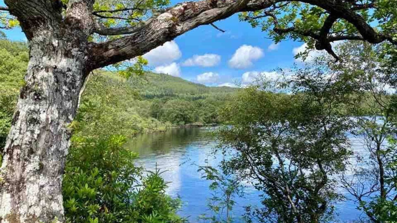 Photo of Outdoor in Taynuilt