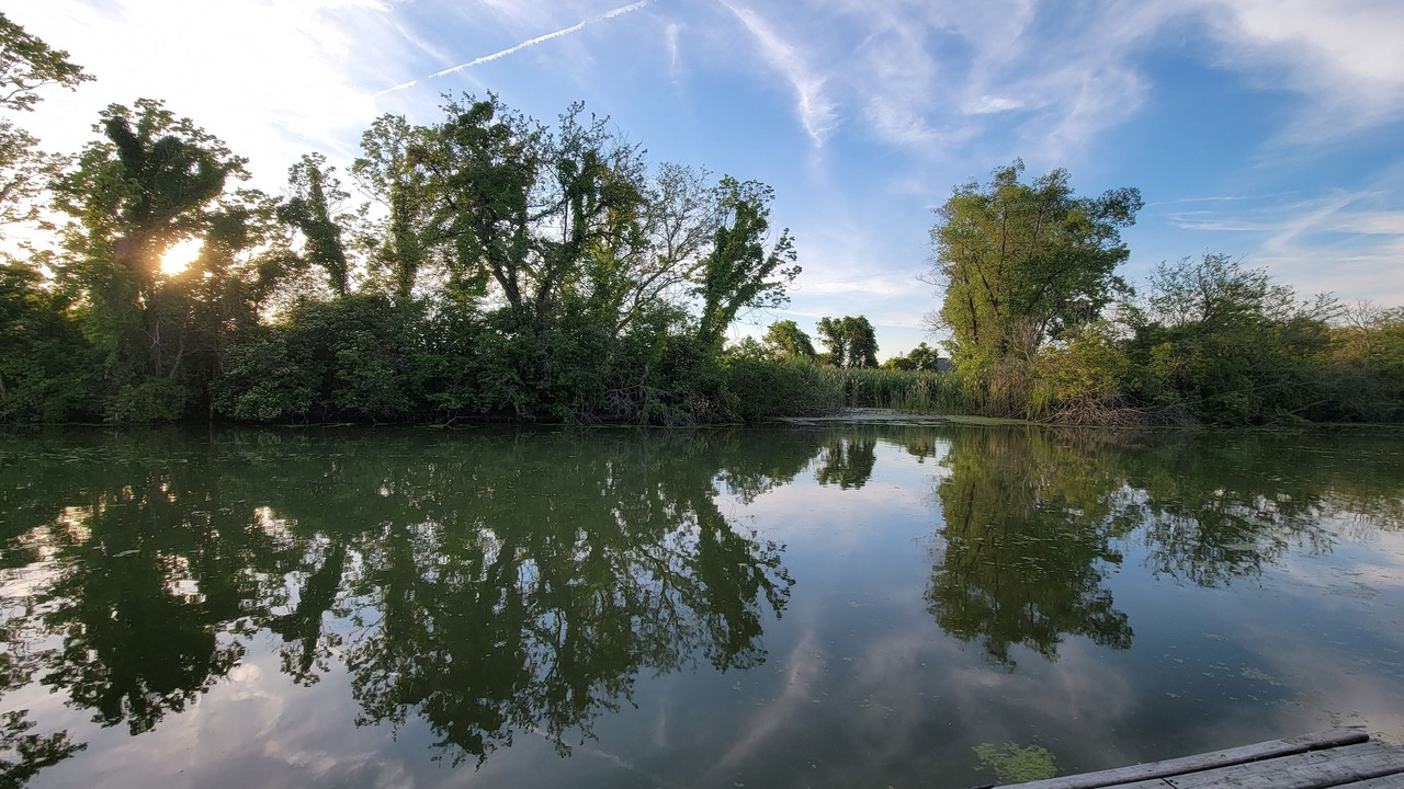 Photo of Outdoor in Kingsville