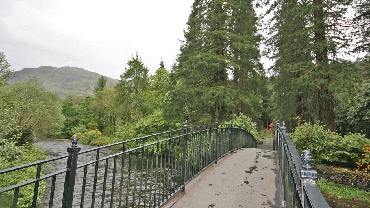 Photo of Others in Benmore