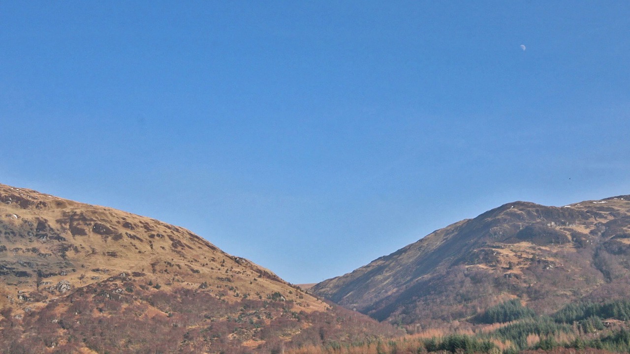 Photo of Others in Benmore