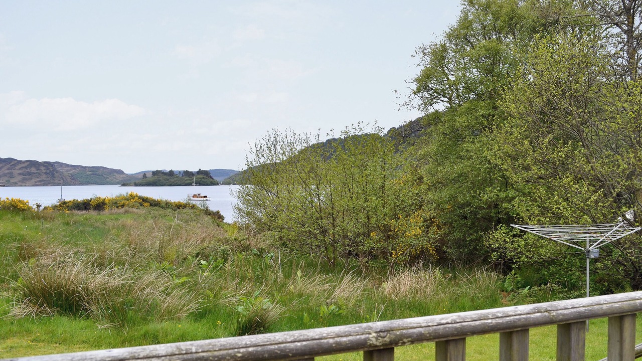 Photo of Others in Colintraive