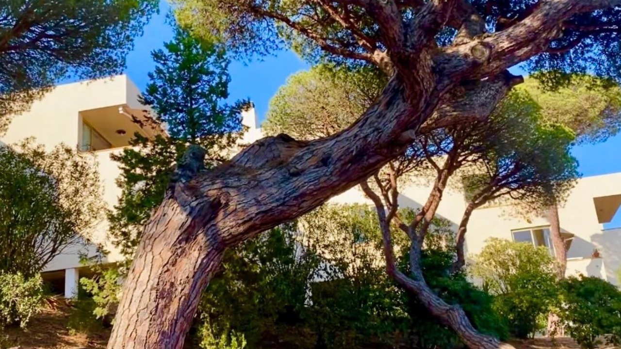 Photo of Outdoor in Sant Feliu de Guixols