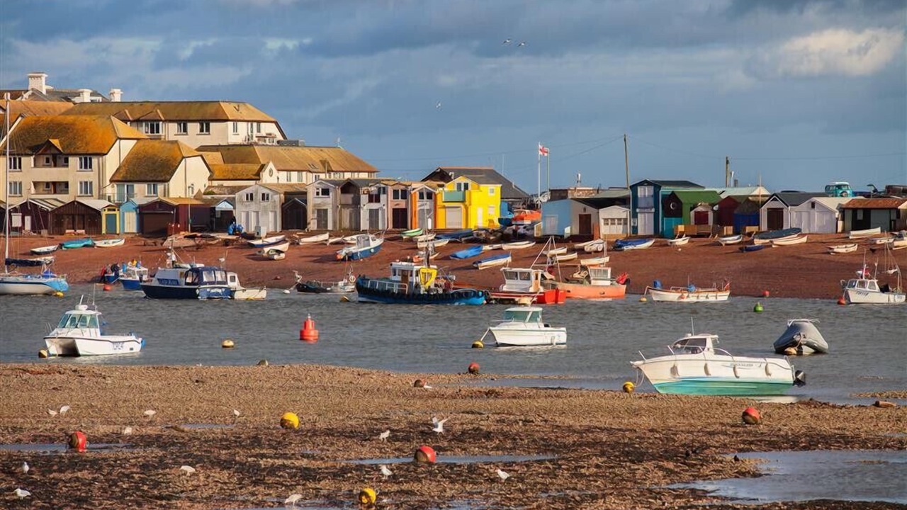 Photo of Others in Shaldon