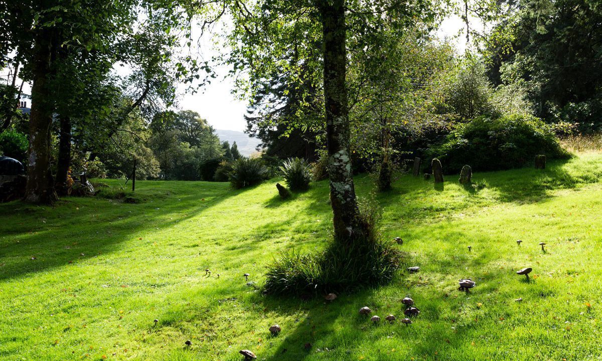 Photo of Others in Colintraive