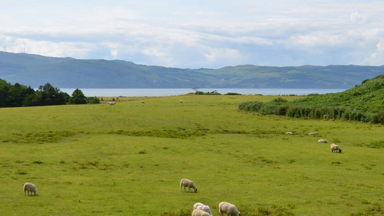Photo of Outdoor in Kilfinan