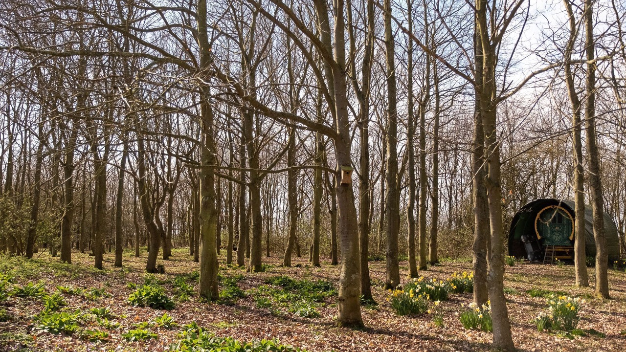 Photo of Outdoor in Theberton