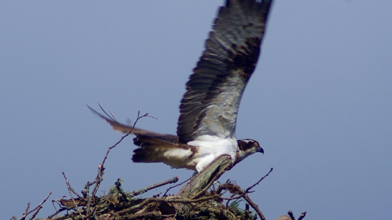 Photo of Others in Kilchattan Bay