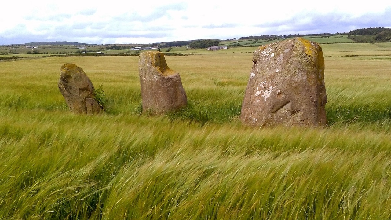 Photo of Others in Kilchattan Bay