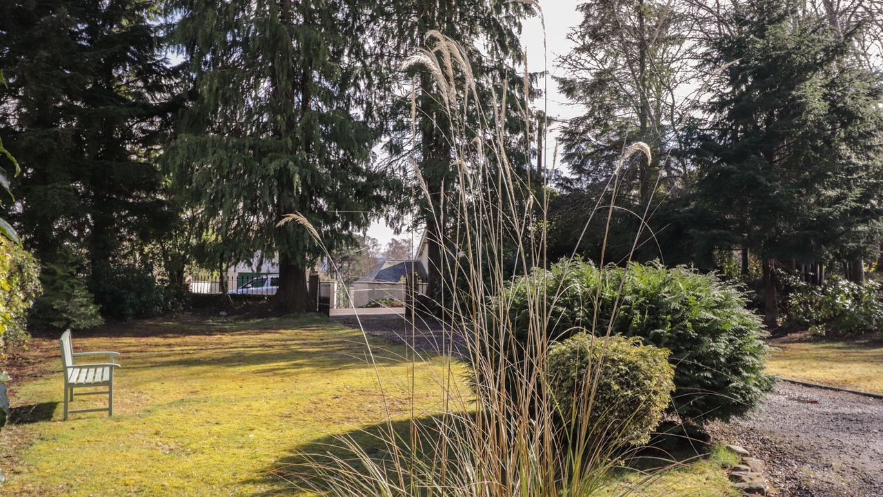 Photo of Outdoor in Marybank