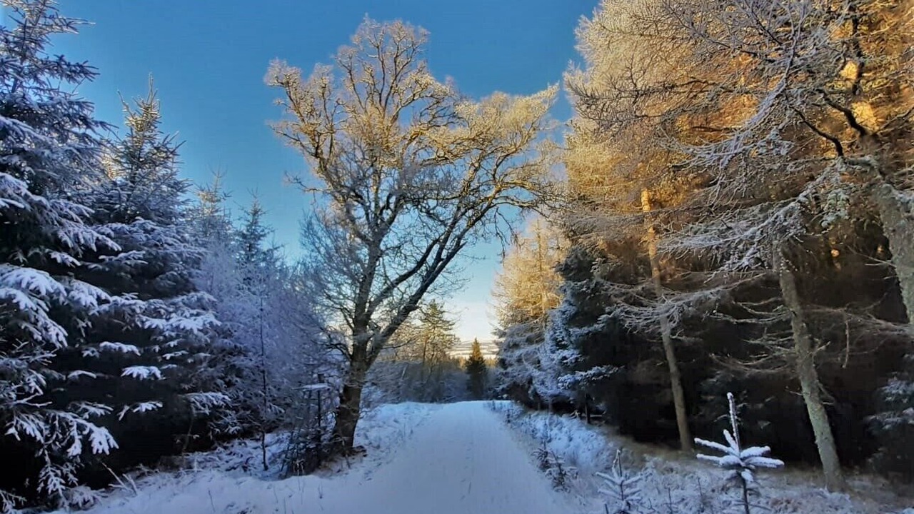 Photo of Outdoor in Dunblane