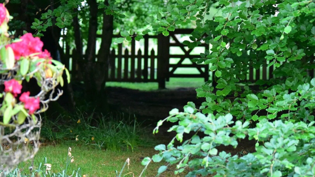 Photo of Outdoor in Dunblane