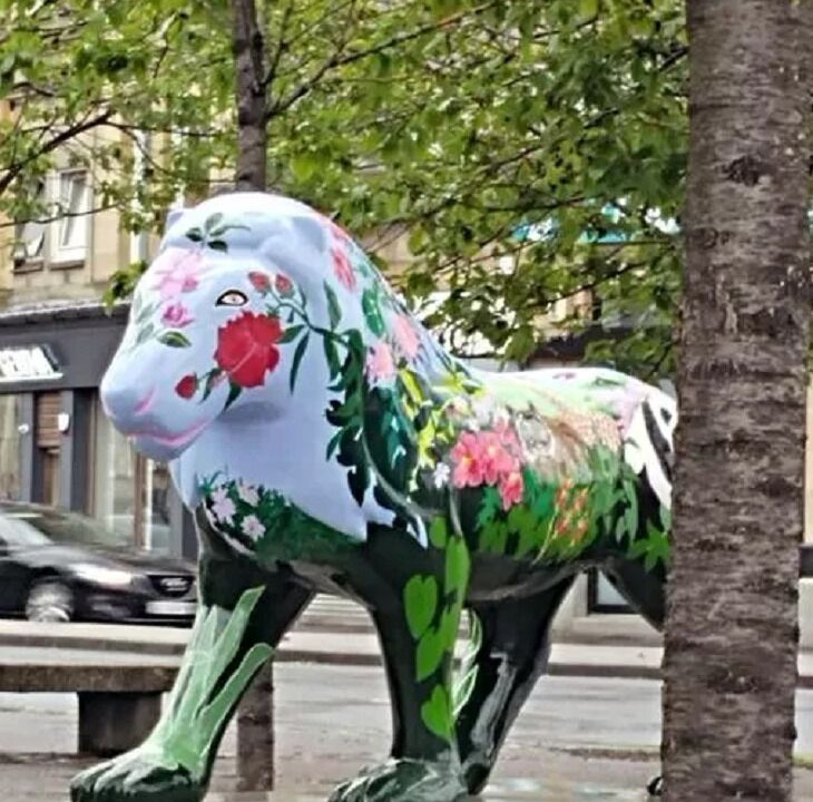 Photo of Outdoor in Paisley