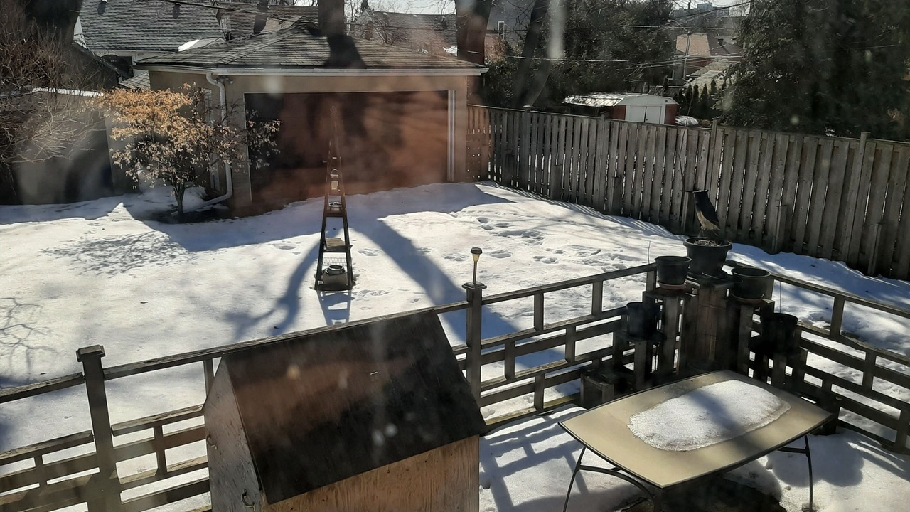 Photo of Patio Balcony in Woodbine Gardens