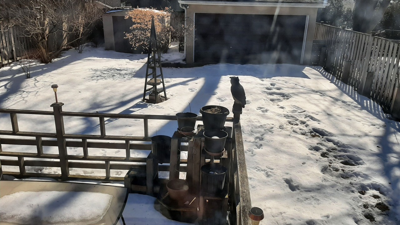 Photo of Outdoor in Woodbine Gardens