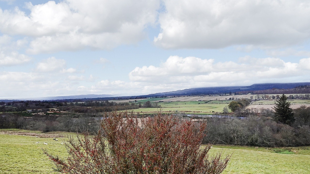 Photo of Others in Marybank