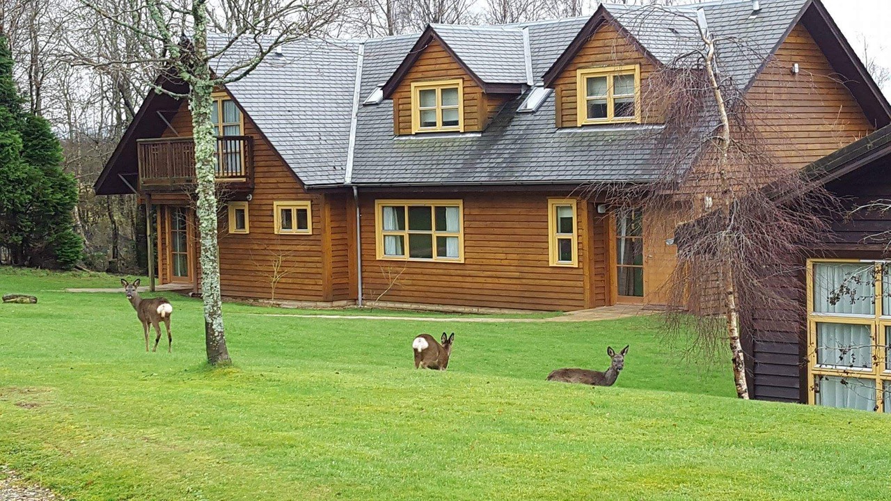 Photo of Outdoor in Balmaha