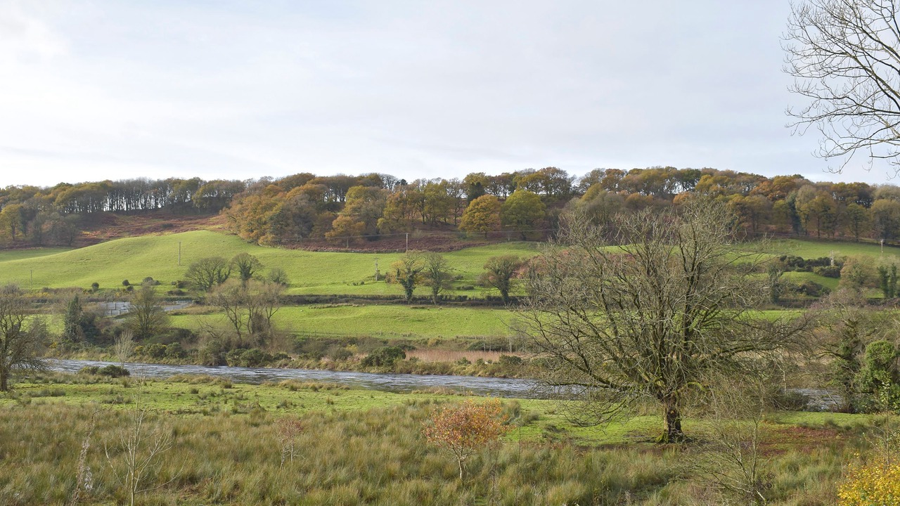 Photo of Others in Newton Stewart