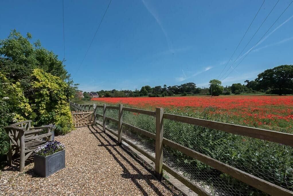 Photo of Outdoor in Aldringham
