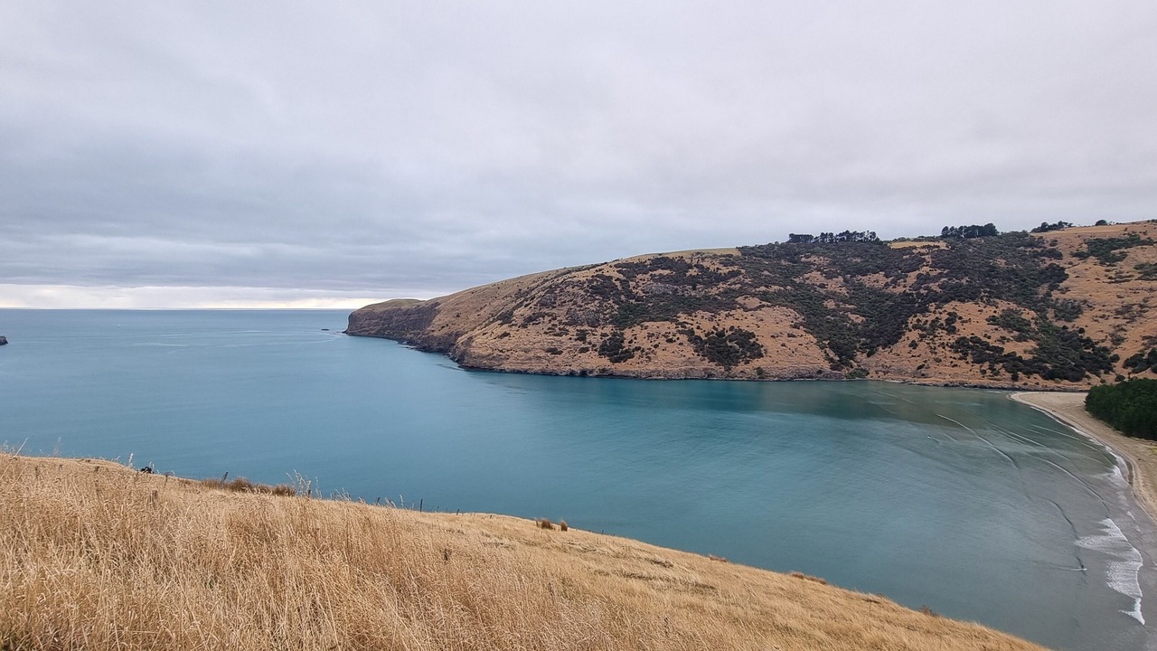 Photo of Others in Le Bons Bay