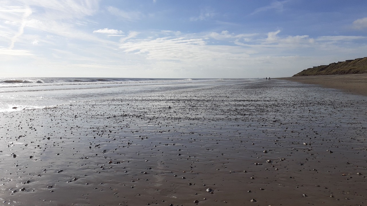 Photo of Others in Hornsea