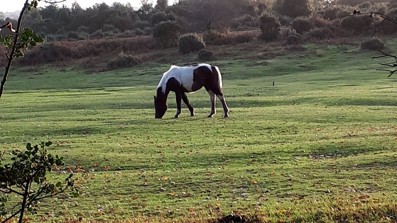 Photo of Others in Burley