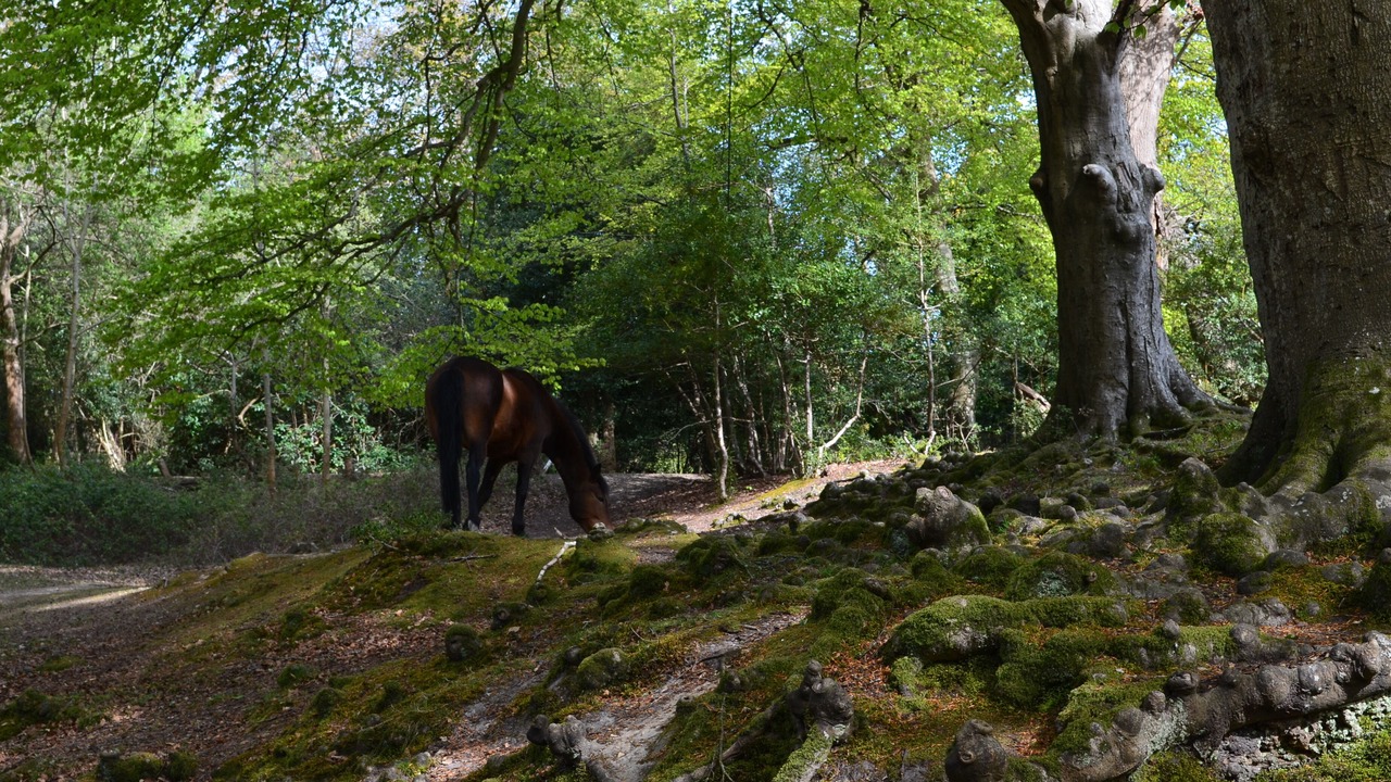 Photo of Outdoor in Burley