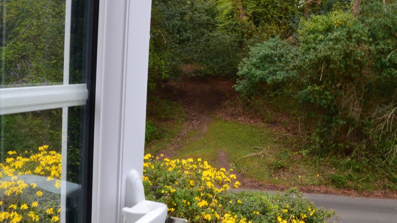 Photo of Outdoor in Burley