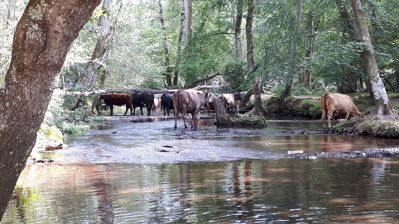 Photo of Outdoor in Burley