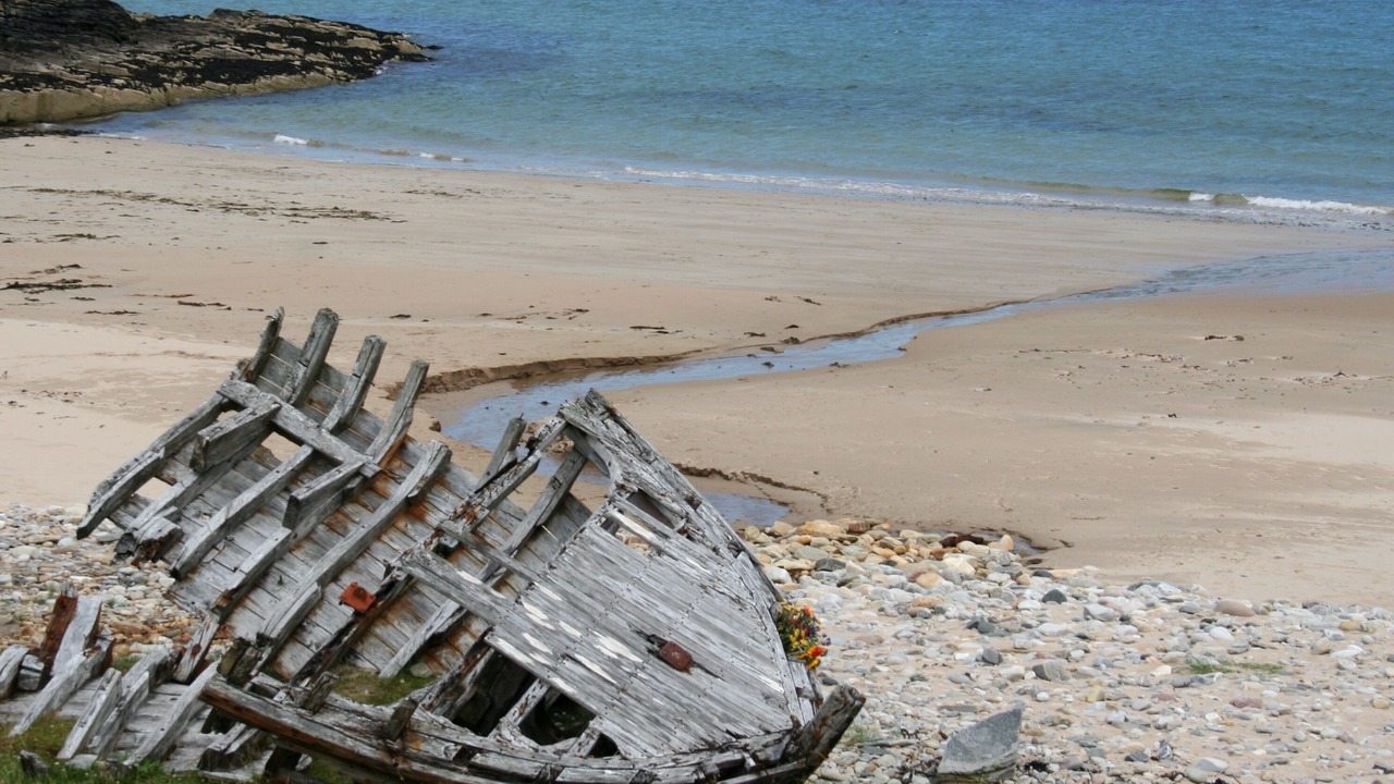 Photo of Others in Talmine