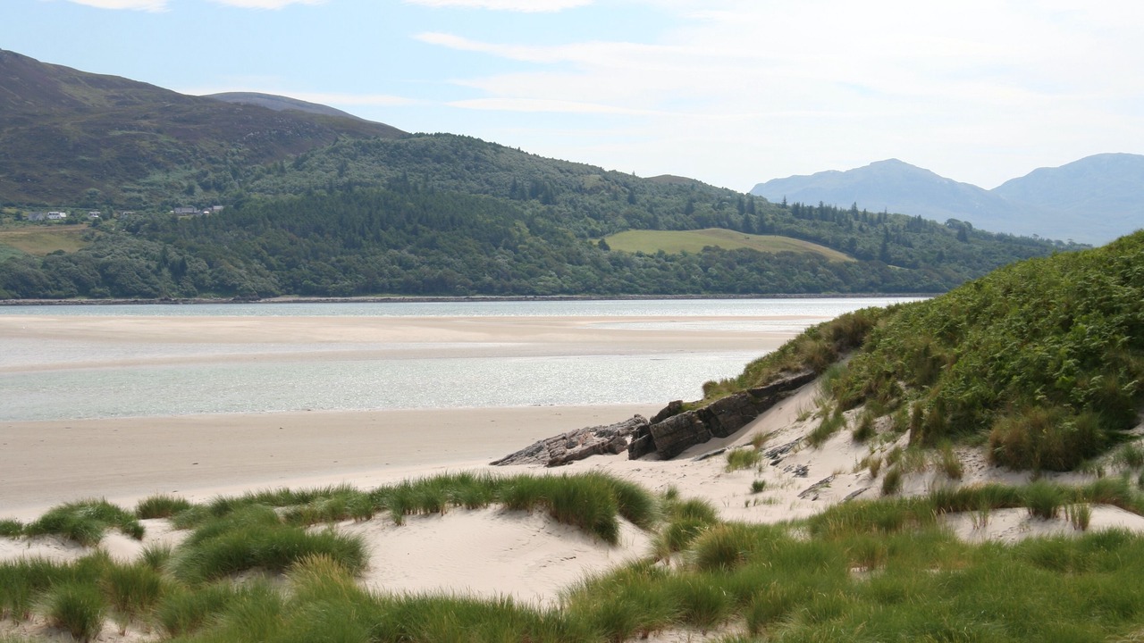 Photo of Others in Talmine