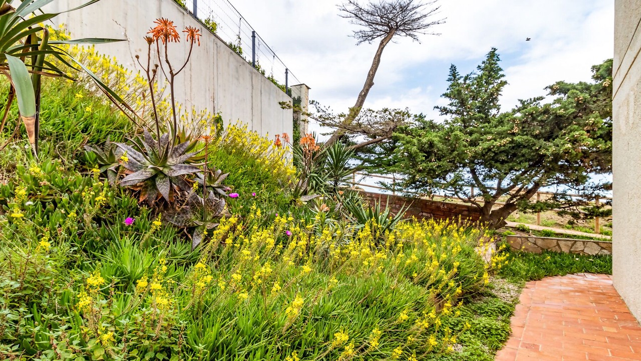 Photo of Outdoor in Llanca