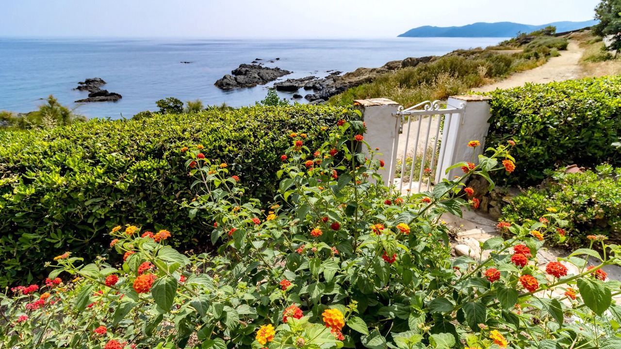 Photo of Outdoor in Llanca