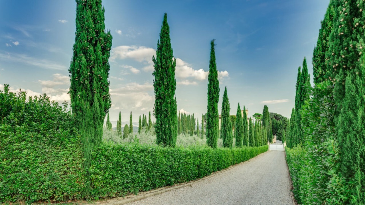 Photo of Outdoor in Tavarnelle Val di Pesa